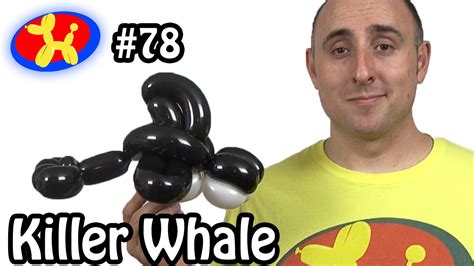 killer whale balloon|balloon animal lessons.